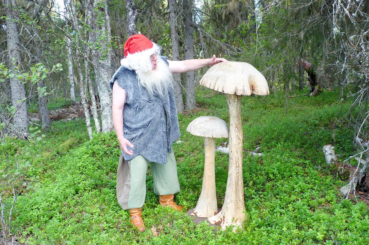 Elves Village Hotel Köngäs 外观 照片