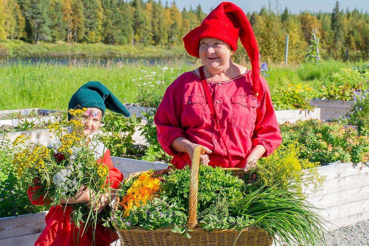 Elves Village Hotel Köngäs 外观 照片